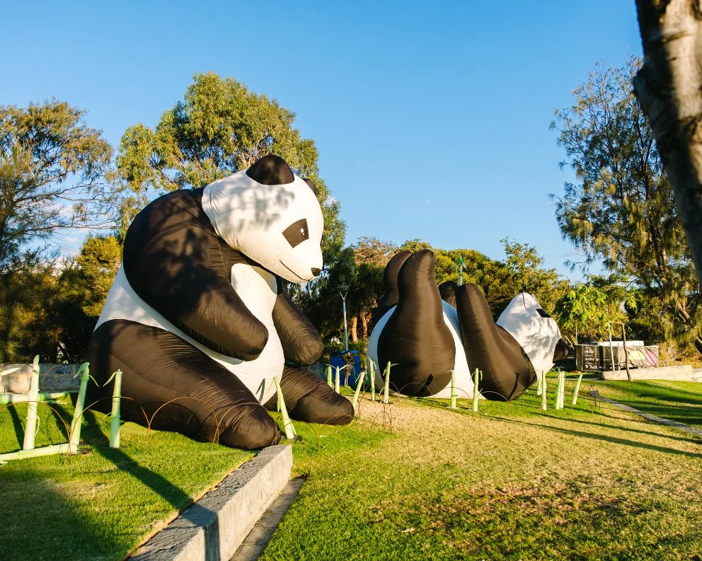 Joondalup Festival